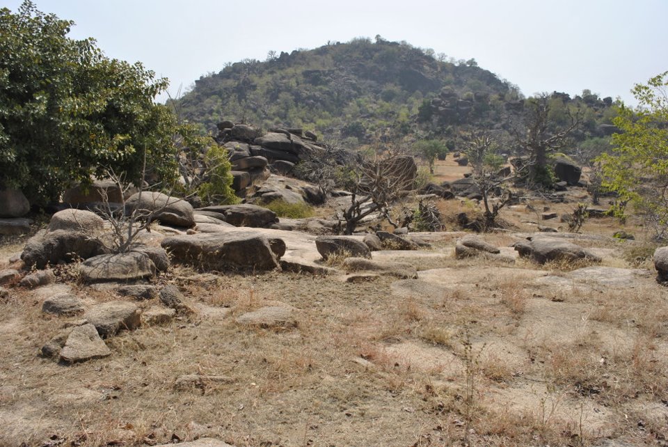 Tongo Hills Ontmoet Afrika