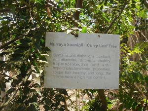 Kusamala: marktonderzoek in biologische landbouw